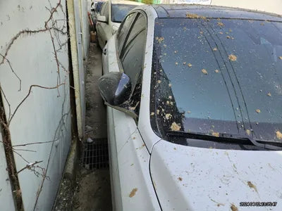 2018 Genesis G70 VIN: