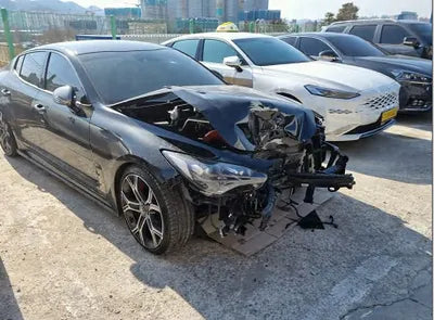 2019 Kia Stinger KNAE751CBKS062844 VIN:KNAE751CBKS062844