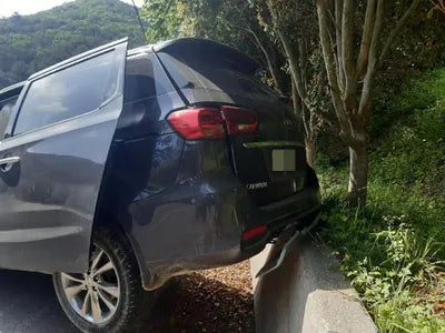 2020 Kia Carnival KNAMC81ABLS664335 VIN:KNAMC81ABLS664335