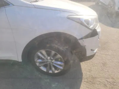 2017 Hyundai Santa FE KMHSW81UBJU804806 VIN:KMHSW81UBJU804806