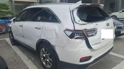 2020 Kia Sorento KNAPH81BDLA635607 VIN:KNAPH81BDLA635607