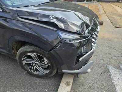 2021 Hyundai Santa FE KMHS381HHMU393701 VIN:KMHS381HHMU393701