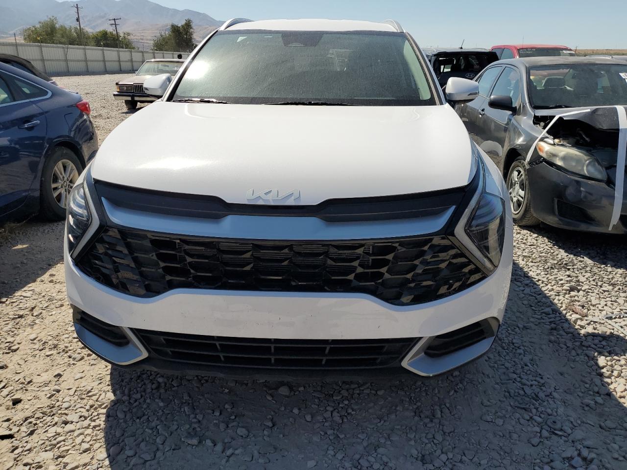 2024 KIA SPORTAGE EX VIN:5XYK3CDF0RG203137