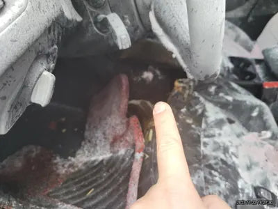 2016 Audi Q5 WAUZZZ8R0GA050175 VIN:WAUZZZ8R0GA050175