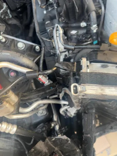 2021 Kia Carnival KNANE81BBMS000820 VIN:KNANE81BBMS000820