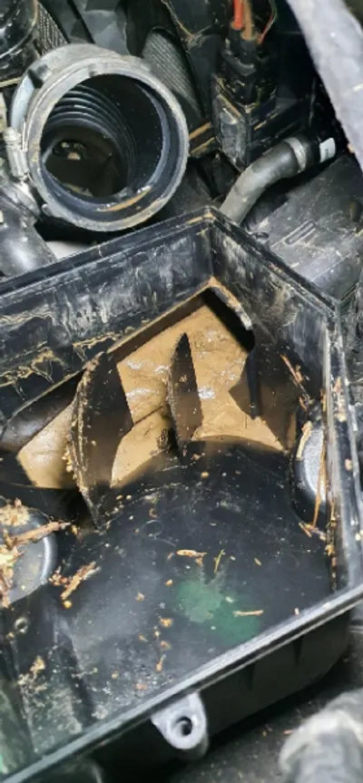 2021 BMW 530 WBAJU8101M9E86180 VIN:WBAJU8101M9E86180