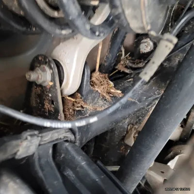 2021 BMW X4 M WBSUJ010XM9F16036 VIN:WBSUJ010XM9F16036