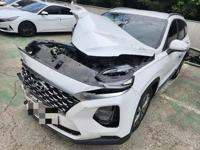 2019 Hyundai Santa FE KMHS381ADKU168779 VIN:KMHS381ADKU168779