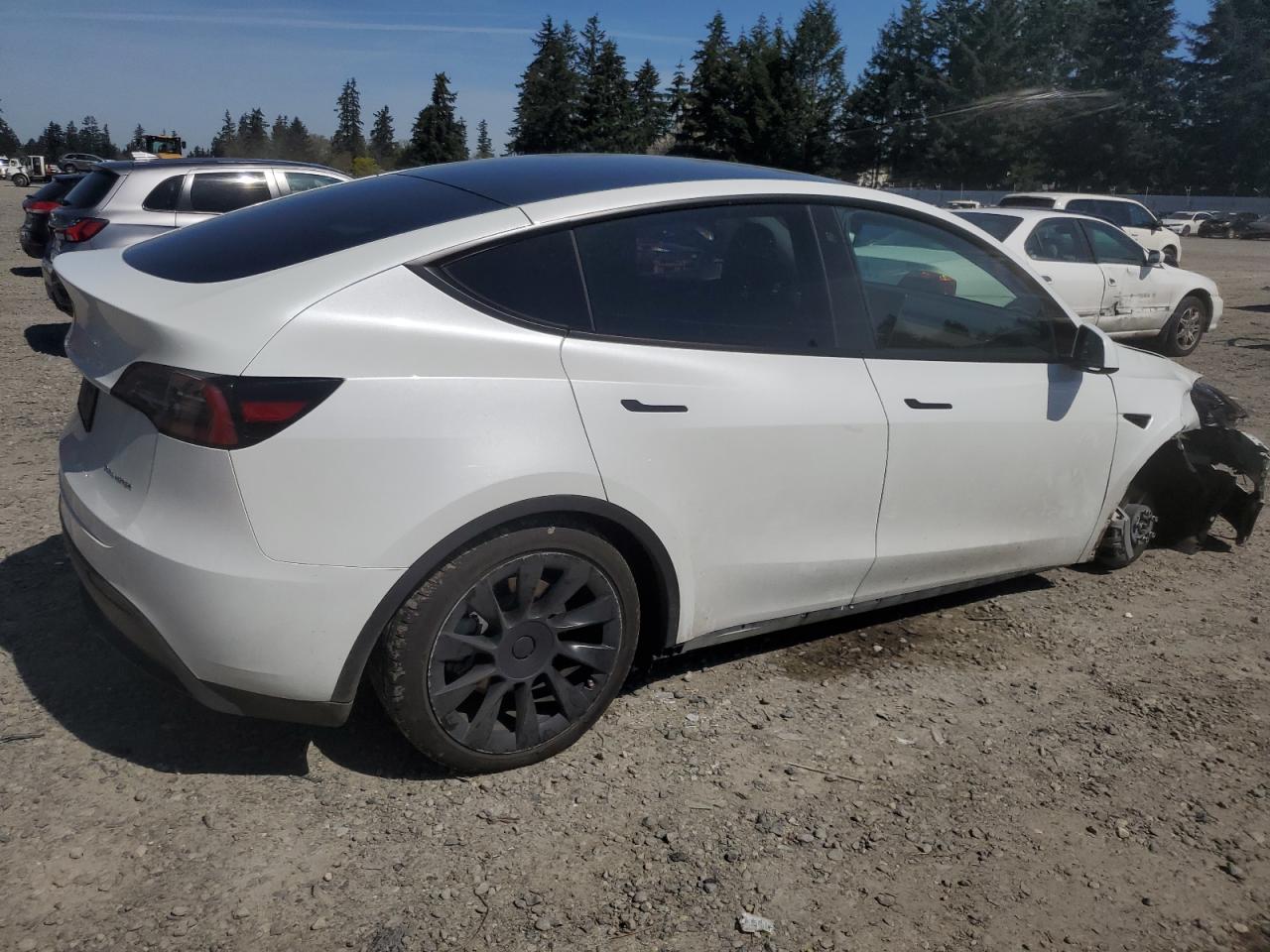 2023 TESLA MODEL Y  VIN:7SAYGDEE3PF751019