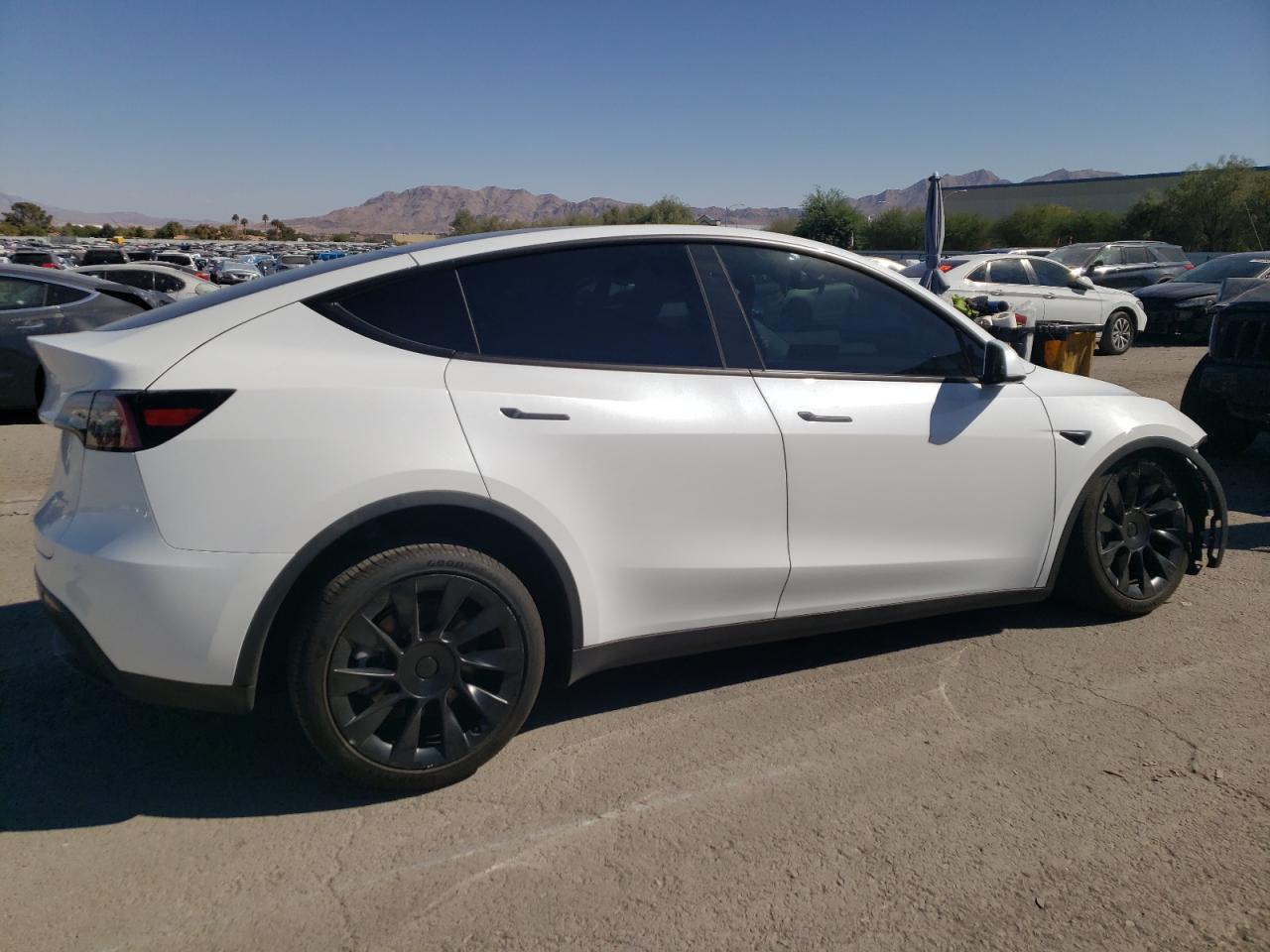 2024 TESLA MODEL Y  VIN:7SAYGDEE4RF077370