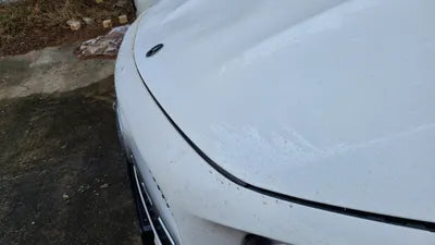 2021 Mercedes-Benz B 250 W1N4M4HB4MW101928 VIN:W1N4M4HB4MW101928