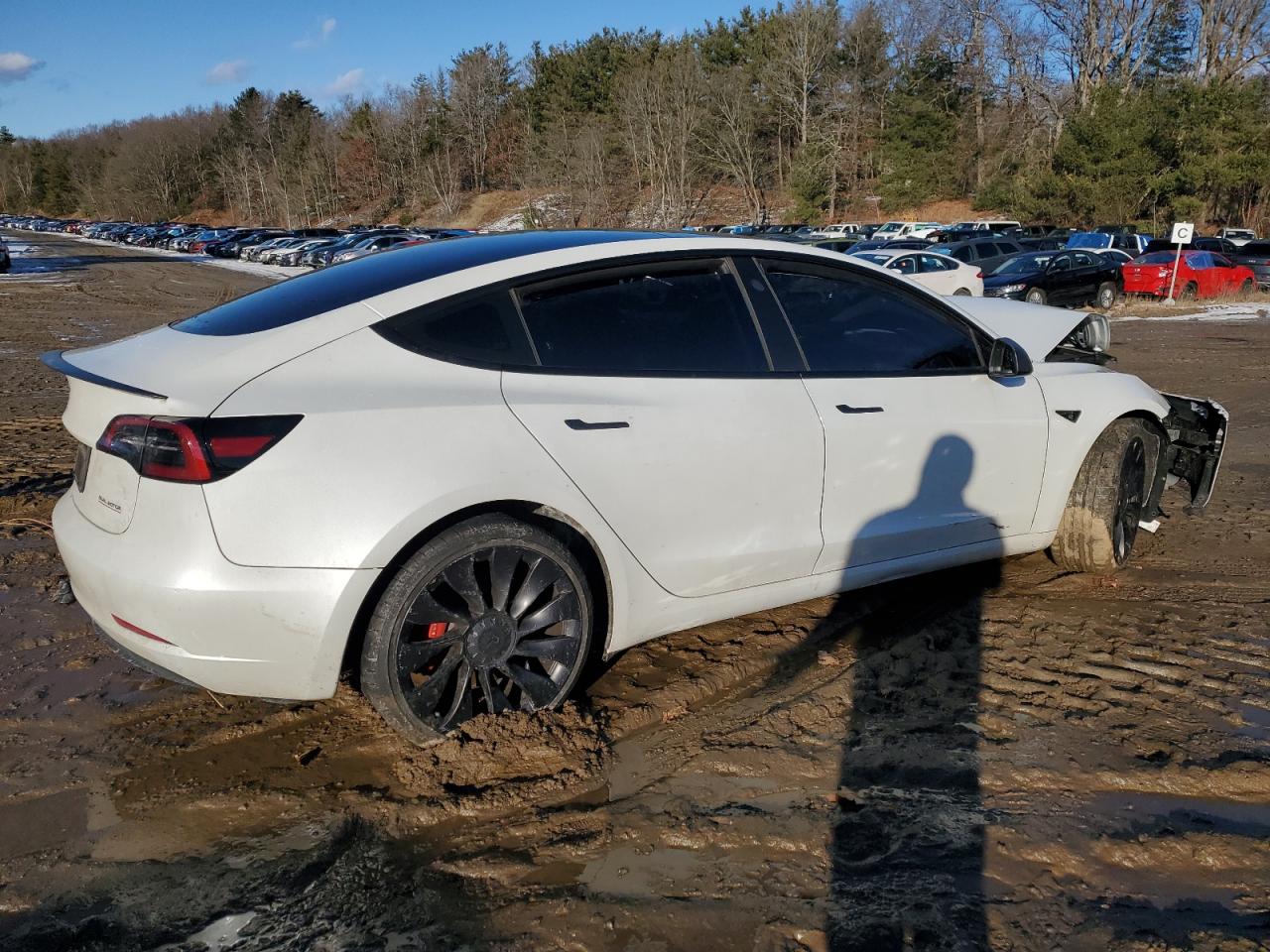 2023 TESLA MODEL 3  VIN:5YJ3E1EC8PF502757