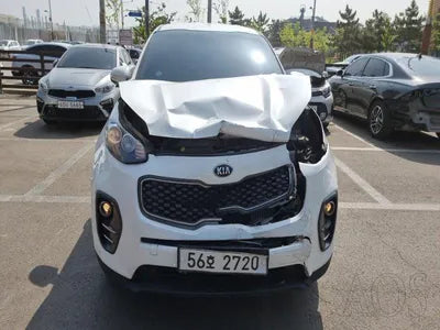 2017 Kia Sportage KNAPN815GHK301738 VIN:KNAPN815GHK301738