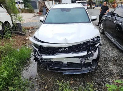 2023 Kia Sorento KNARG81FHPA195674 VIN:KNARG81FHPA195674