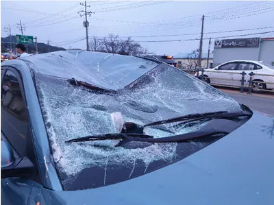 2019 Hyundai Kona KMHK3816GKU280918 VIN:KMHK3816GKU280918