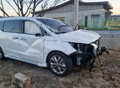 2018 Kia Carnival KNAME81ABJS434732 VIN:KNAME81ABJS434732