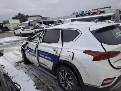 2020 Hyundai Santa FE KMHS281BBLU239686 VIN:KMHS281BBLU239686