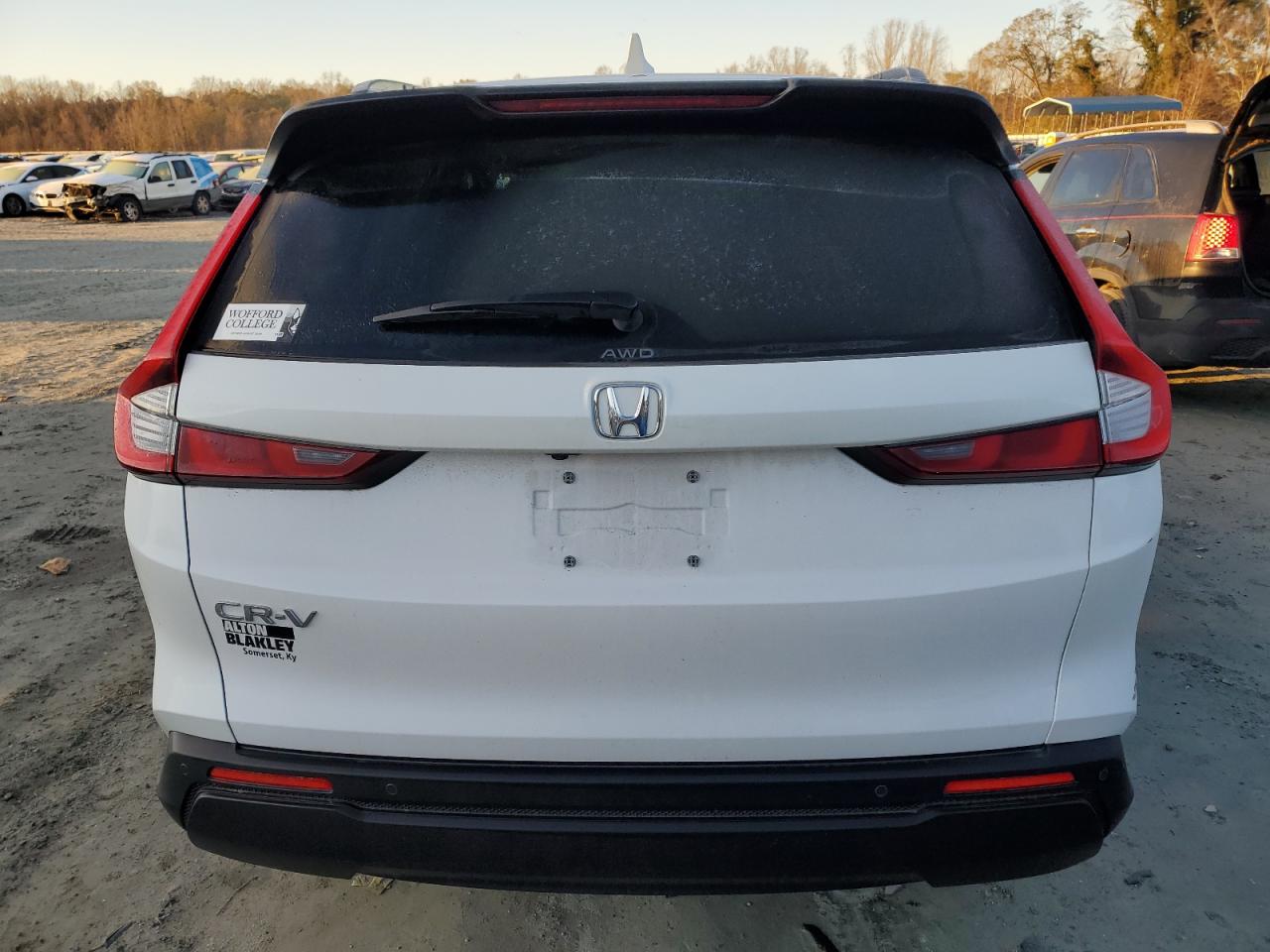 2024 HONDA CR-V EXL VIN:5J6RS4H76RL006854