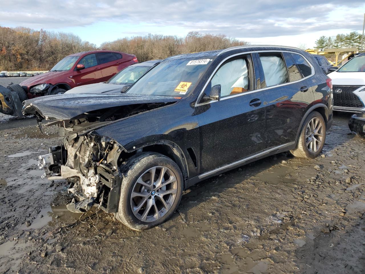 2023 BMW X5 XDRIVE40I VIN:5UXCR6C05P9P23218