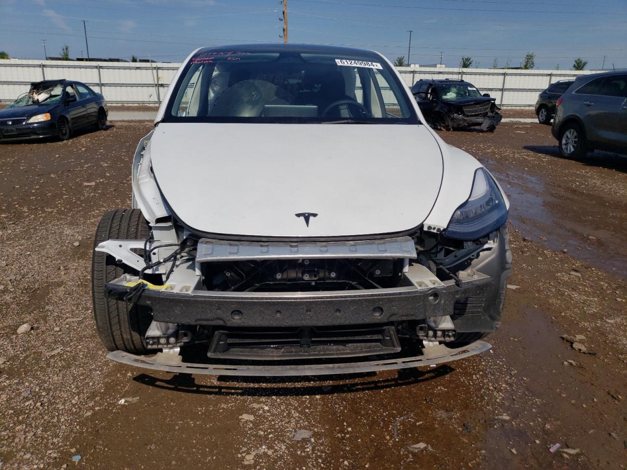 2023 TESLA MODEL Y  VIN:7SAYGDEE4PA079484