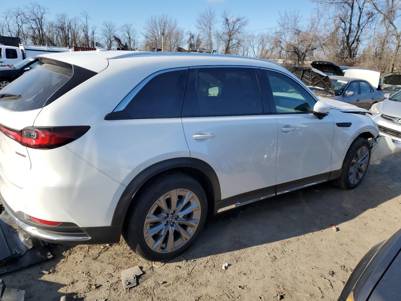2024 MAZDA CX-90 PREMIUM PLUS VIN:JM3KKEHD8R1101289