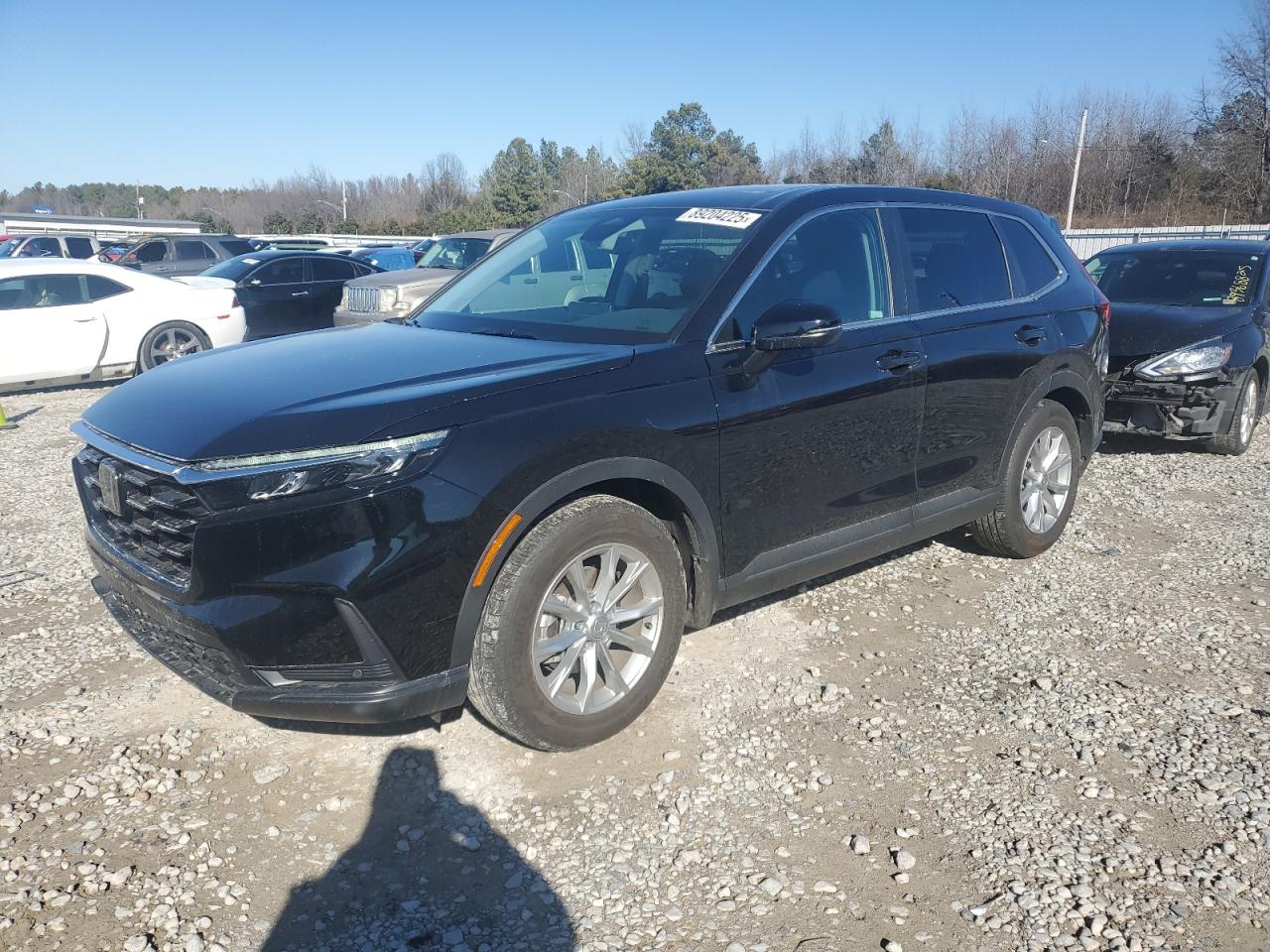 2024 HONDA CR-V EXL VIN:5J6RS3H73RL007194