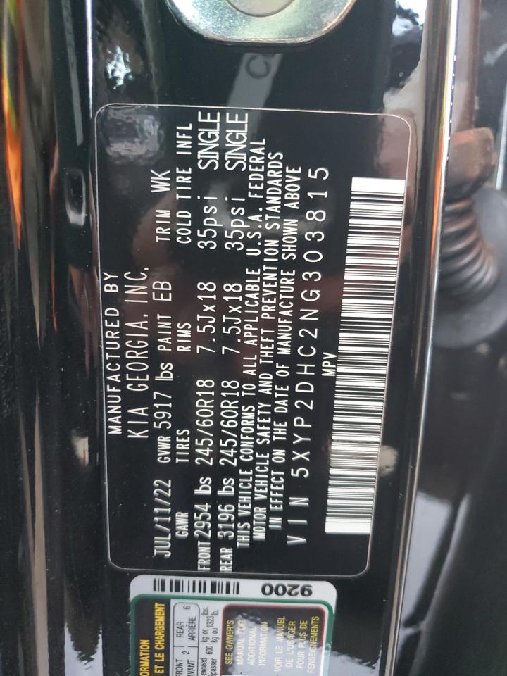 2022 KIA TELLURIDE LX VIN:5XYP2DHC2NG303815