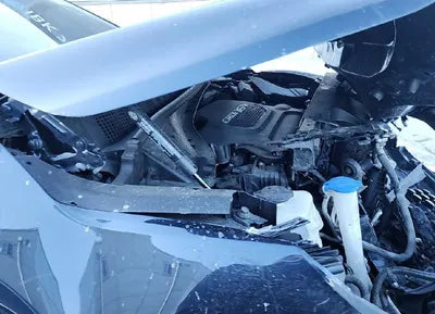 2018 Kia Sorento KNAPH81BDJA448411 VIN:KNAPH81BDJA448411