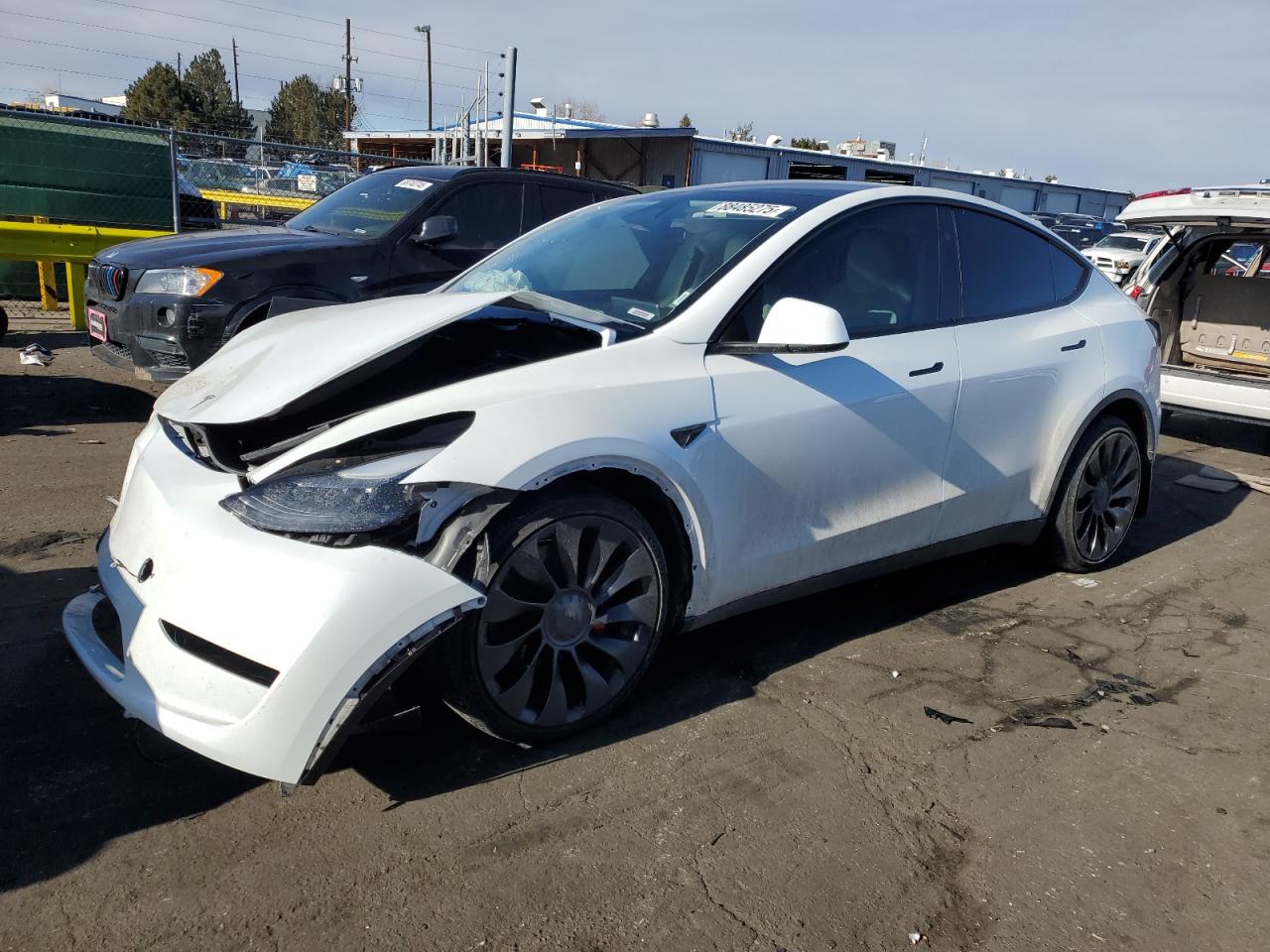 2024 TESLA MODEL Y  VIN:7SAYGDEF8RF019769
