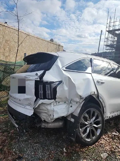 2021 Kia Sorento KNARH81BGMA053240 VIN:KNARH81BGMA053240