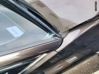 2019 Toyota Camry JTNB21HK9K3017410 VIN:JTNB21HK9K3017410