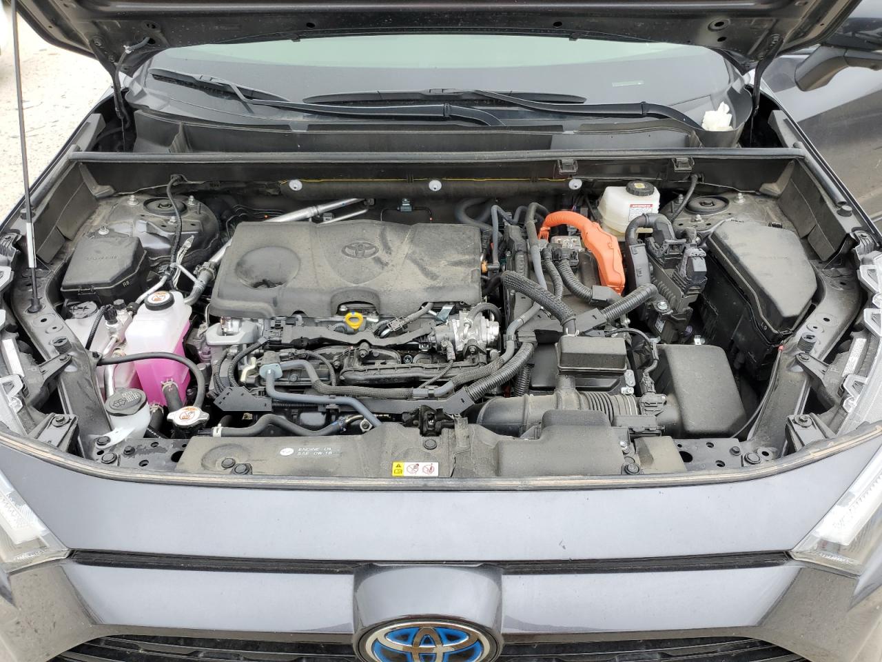 2023 TOYOTA RAV4 XSE VIN:JTME6RFV1PJ029331