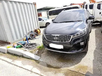 2019 Kia Sorento 315KMKNAPG81BBKA5 VIN:315KMKNAPG81BBKA5
