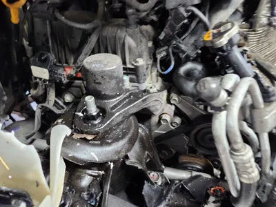 2020 Hyundai Santa FE 1KMHS281BBLU28875 VIN:1KMHS281BBLU28875