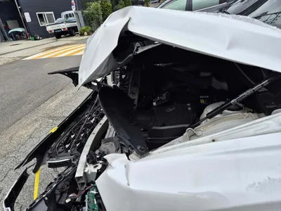 2020 Hyundai Santa FE KMHS581HGMU325237 VIN:KMHS581HGMU325237