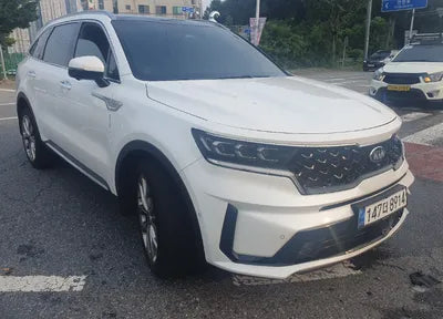 2021 Kia Sorento KNARF81BHMA034257 VIN:KNARF81BHMA034257