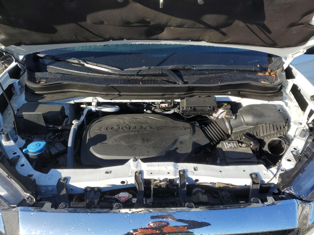 2022 HONDA PASSPORT EXL VIN:5FNYF8H54NB000902