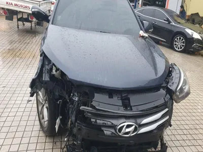 2017 Hyundai Santa FE KMHSW81UBHU732859 VIN:KMHSW81UBHU732859