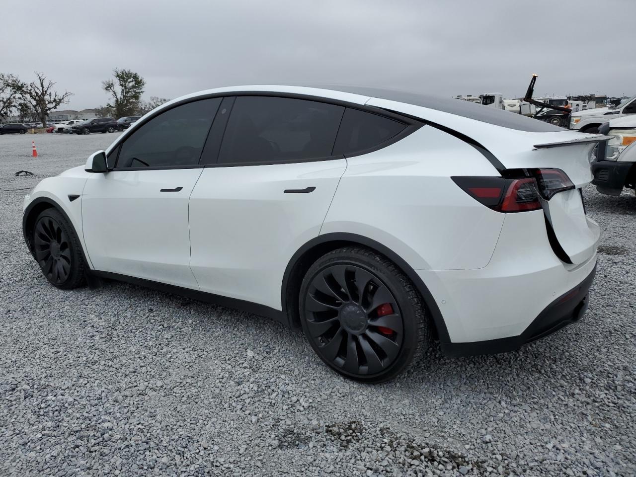 2022 TESLA MODEL Y  VIN:7SAYGDEF7NF537009