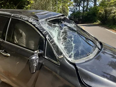 2020 Kia Carnival KNAMC81ABLS664335 VIN:KNAMC81ABLS664335