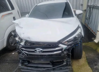 2017 Hyundai Tucson KMHJ381ABHU402409 VIN:KMHJ381ABHU402409