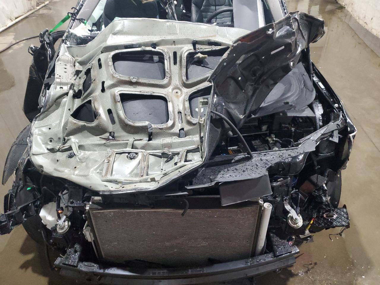 2024 KIA TELLURIDE SX VIN:5XYP5DGC9RG510605