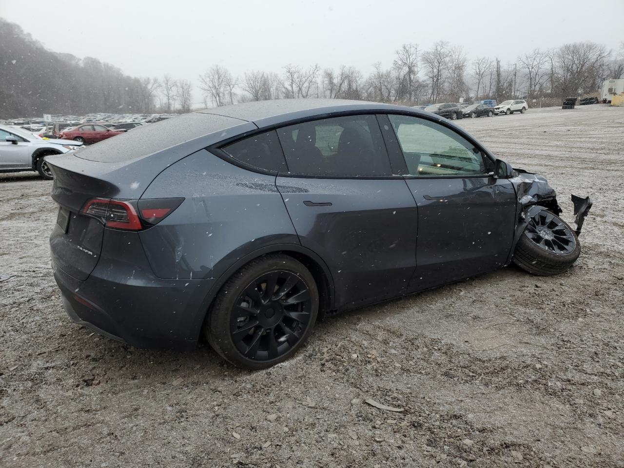2023 TESLA MODEL Y  VIN:7SAYGDEE8PA043653