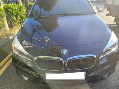 2016 BMW 2 Series Gran Tourer WBA2C110XGV703345 VIN:WBA2C110XGV703345