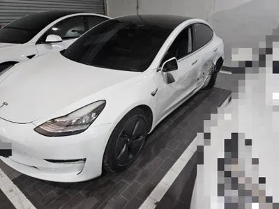 2020 Tesla Model 3 5YJ3E1EB8LF774310 VIN:5YJ3E1EB8LF774310