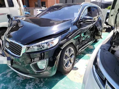 2016 Kia Sorento KNAPH81ABGA217744 VIN:KNAPH81ABGA217744