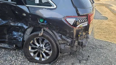 2019 Kia Sorento KNAPS81ABLA591712 VIN:KNAPS81ABLA591712