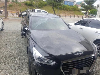 2017 Kia Carnival KMHG511HDHU030626 VIN:KMHG511HDHU030626