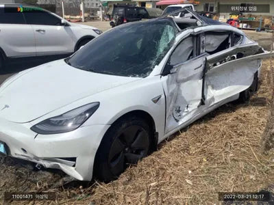 2020 Tesla Model 3 5YJ3E1EB9LF695079 VIN:5YJ3E1EB9LF695079