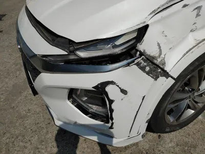 2019 Hyundai Santa FE KMHS581ABLU226176 VIN:KMHS581ABLU226176